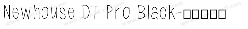 Newhouse DT Pro Black字体转换